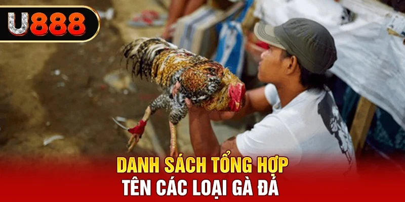 Danh sách tổng hợp tên các loại gà đá phổ cập theo lối đá